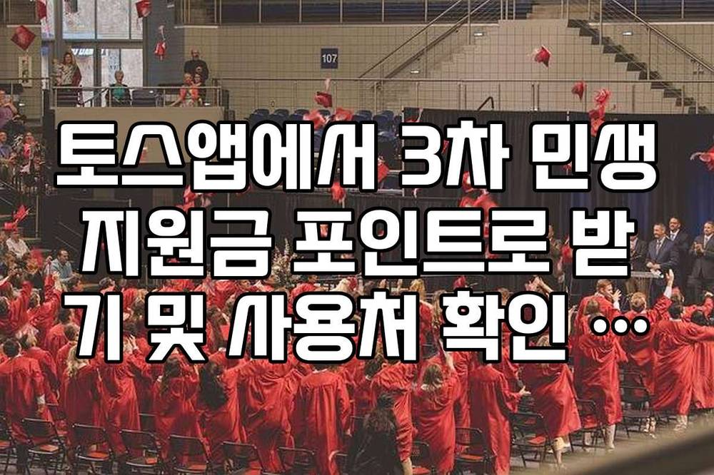 토스앱에서 3차 민생지원금 포인트로 받기 및 사용처 확인 방법