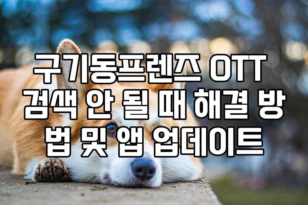 구기동프렌즈 OTT 검색 안 될 때 해결 방법 및 앱 업데이트