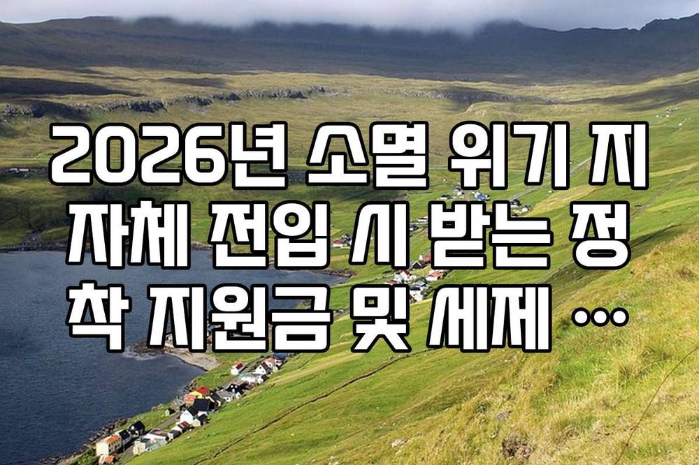 2026년 소멸 위기 지자체 전입 시 받는 정착 지원금 및 세제 혜택 가이드