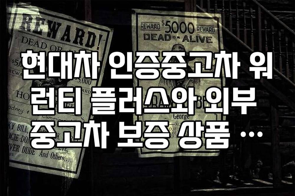 현대차 인증중고차 워런티 플러스와 외부 중고차 보증 상품 차이점 비교