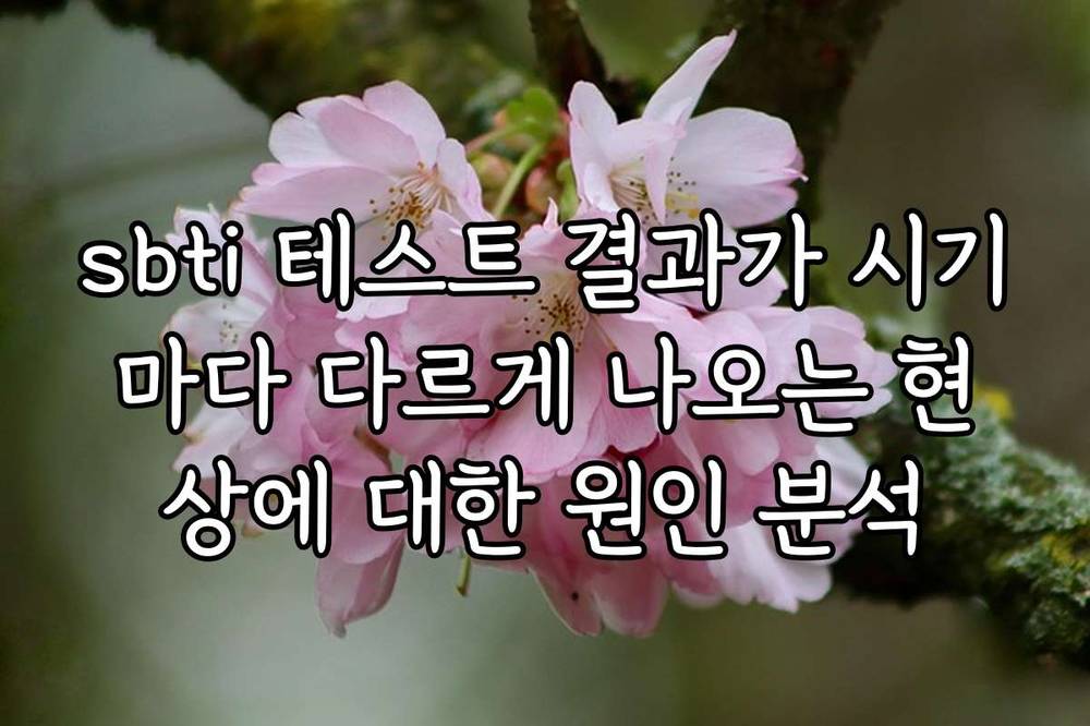 sbti 테스트 결과가 시기마다 다르게 나오는 현상에 대한 원인 분석
