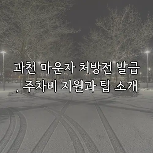 과천 마운자 처방전 발급, 주차비 지원과 팁 소개