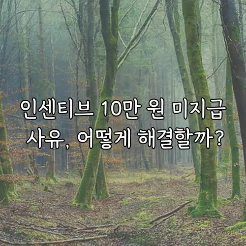 인센티브 10만 원 미지급 사유, 어떻게 해결할까?