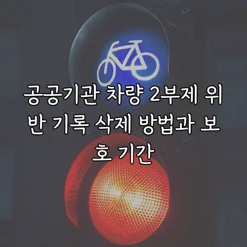 공공기관 차량 2부제 위반 기록 삭제 방법과 보호 기간