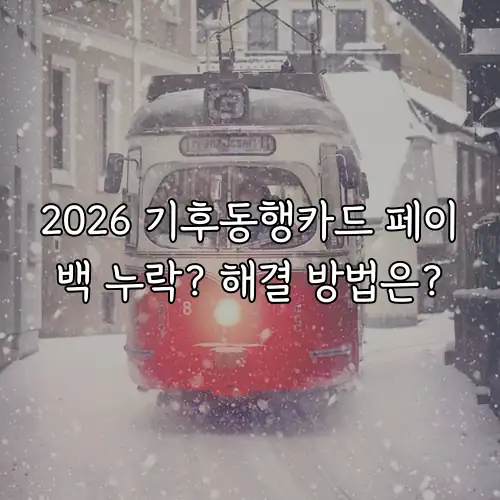 2026 기후동행카드 페이백 누락? 해결 방법은?