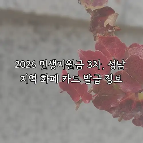 2026 민생지원금 3차, 성남 지역 화폐 카드 발급 정보