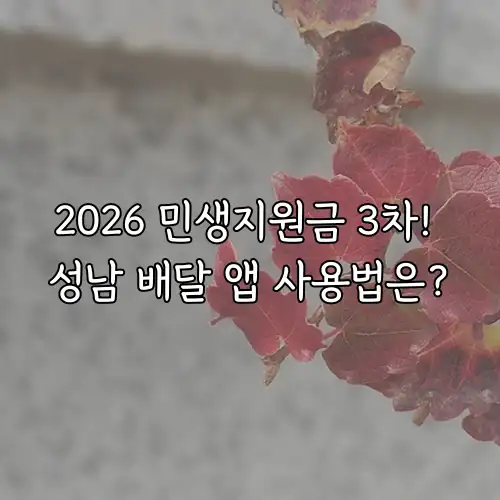 2026 민생지원금 3차! 성남 배달 앱 사용법은?
