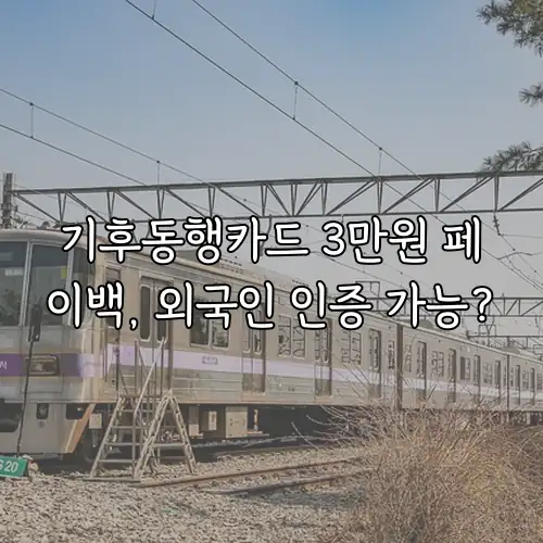 기후동행카드 3만원 페이백, 외국인 인증 가능?