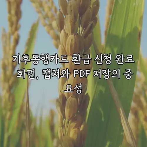 기후동행카드 환급 신청 완료 화면, 캡쳐와 PDF 저장의 중요성