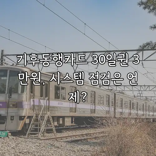 기후동행카드 30일권 3만원, 시스템 점검은 언제?