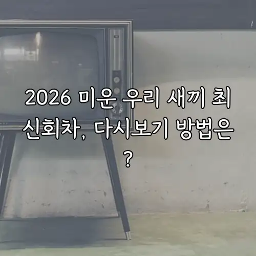 2026 미운 우리 새끼 최신회차, 다시보기 방법은?