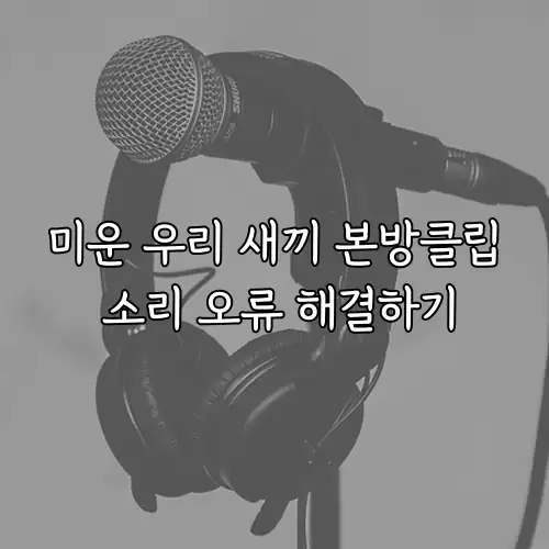 미운 우리 새끼 본방클립 소리 오류 해결하기