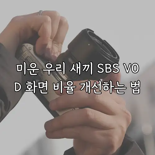 미운 우리 새끼 SBS VOD 화면 비율 개선하는 법