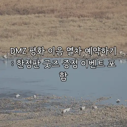 DMZ 평화 이음 열차 예약하기: 한정판 굿즈 증정 이벤트 포함