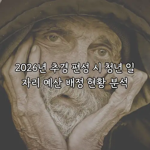 2026년 추경 편성 시 청년 일자리 예산 배정 현황 분석