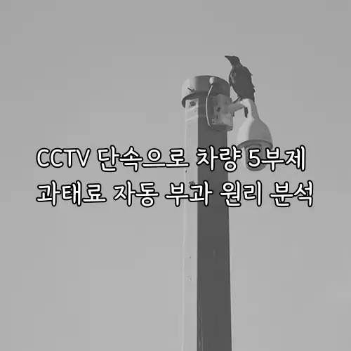 CCTV 단속으로 차량 5부제 과태료 자동 부과 원리 분석