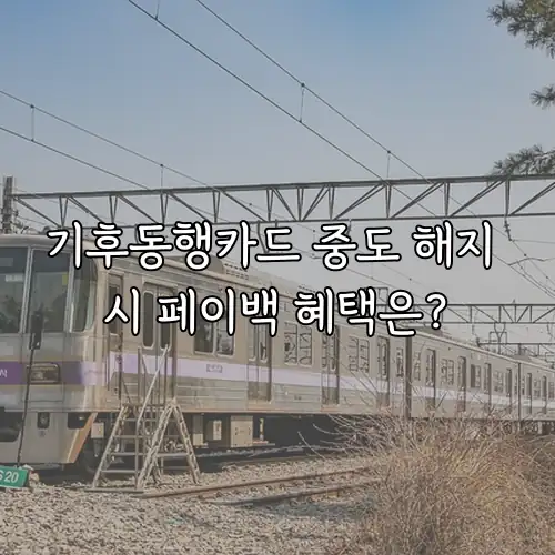 기후동행카드 중도 해지 시 페이백 혜택은?