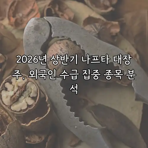 2026년 상반기 나프타 대장주, 외국인 수급 집중 종목 분석