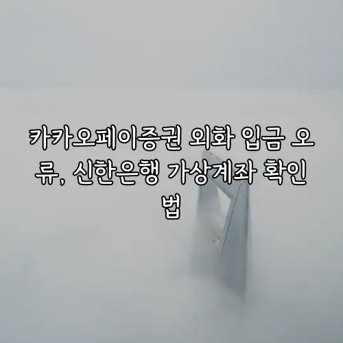 카카오페이증권 외화 입금 오류, 신한은행 가상계좌 확인법