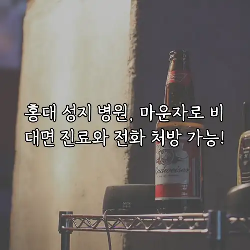 홍대 성지 병원, 마운자로 비대면 진료와 전화 처방 가능!