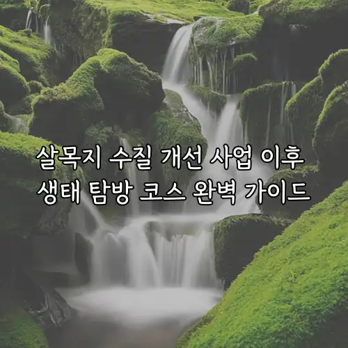 살목지 수질 개선 사업 이후 생태 탐방 코스 완벽 가이드