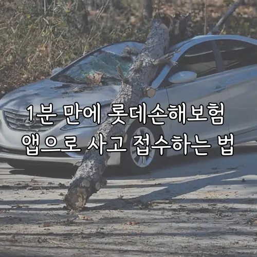 1분 만에 롯데손해보험 앱으로 사고 접수하는 법