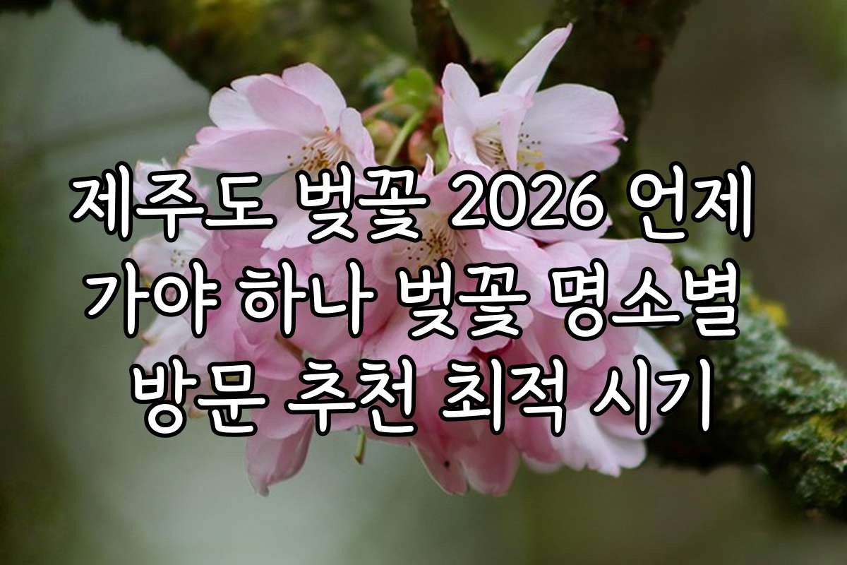 제주도 벚꽃 2026 언제 가야 하나 벚꽃 명소별 방문 추천 최적 시기