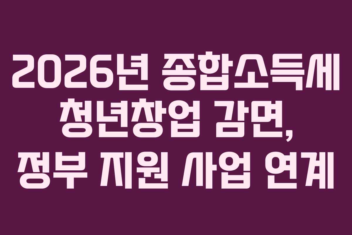 2026년 종합소득세 청년창업 감면, 정부 지원 사업 연계