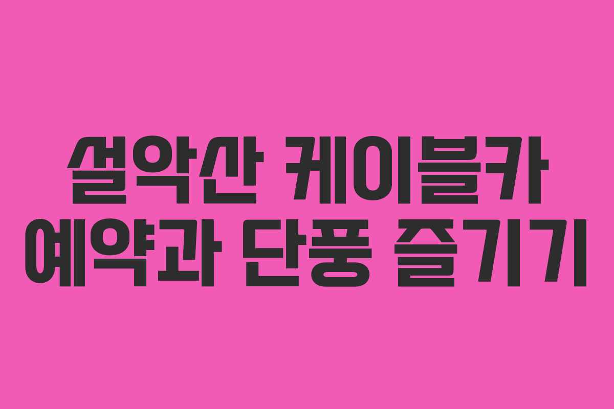 설악산 케이블카 예약과 단풍 즐기기