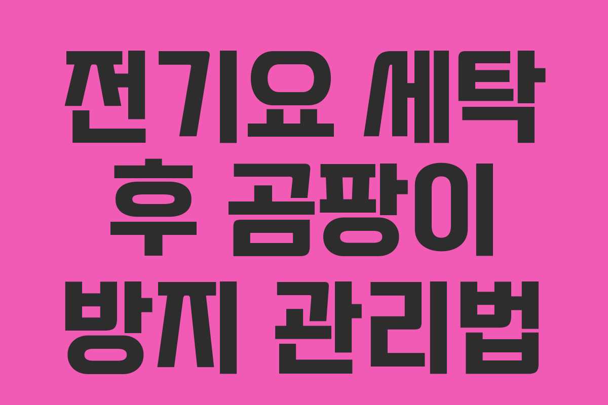 전기요 세탁 후 곰팡이 방지 관리법