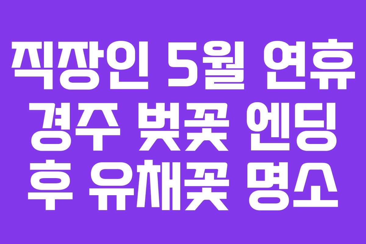 직장인 5월 연휴 경주 벚꽃 엔딩 후 유채꽃 명소 직장인 5월 연휴 경주 벚꽃 엔딩 후 유채꽃 명소