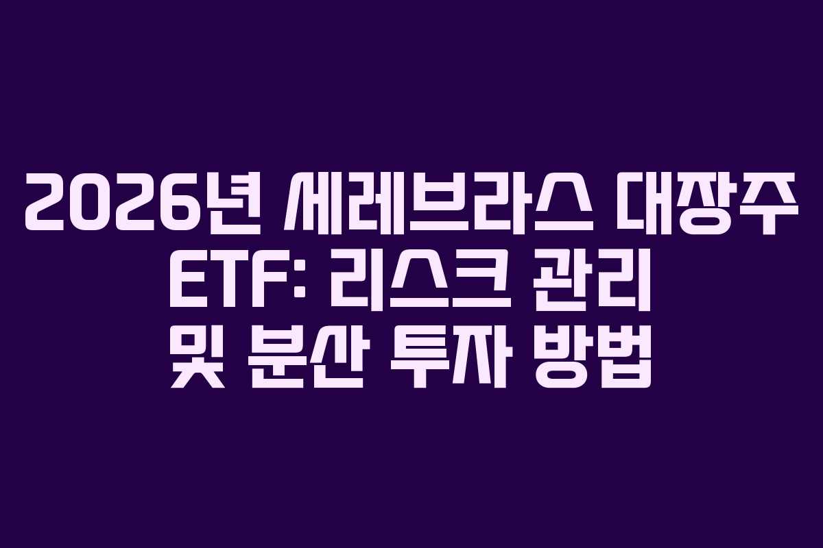 2026년 세레브라스 대장주 ETF: 리스크 관리 및 분산 투자 방법