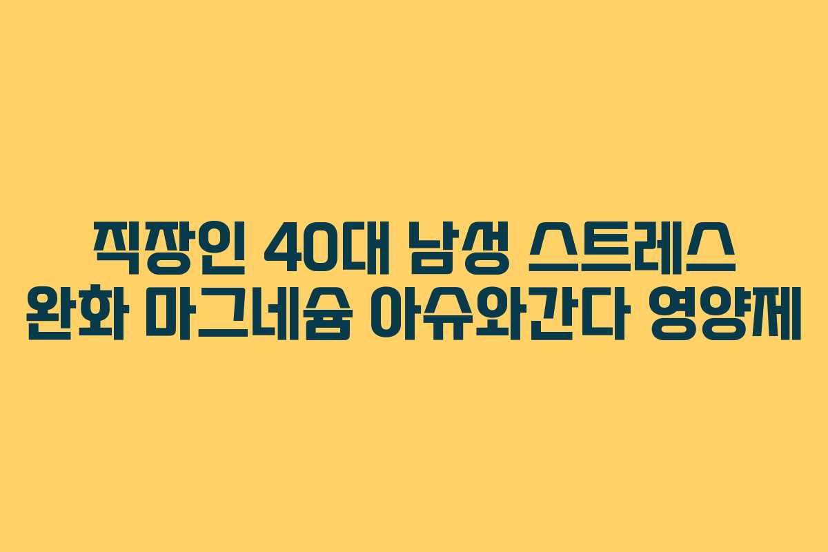 직장인 40대 남성 스트레스 완화 마그네슘 아슈와간다 영양제