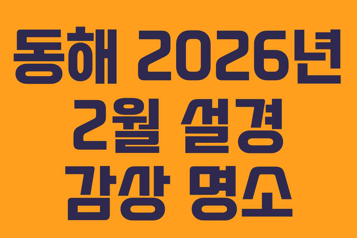 동해 2026년 2월 설경 감상 명소 동해 2026년 2월 설경 감상 명소