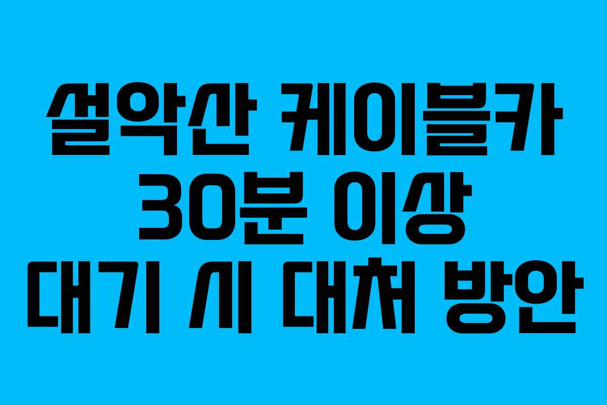 설악산 케이블카 30분 이상 대기 시 대처 방안 설악산 케이블카 30분 이상 대기 시 대처 방안
