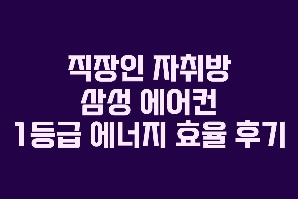 직장인 자취방 삼성 에어컨 1등급 에너지 효율 후기 직장인 자취방 삼성 에어컨 1등급 에너지 효율 후기