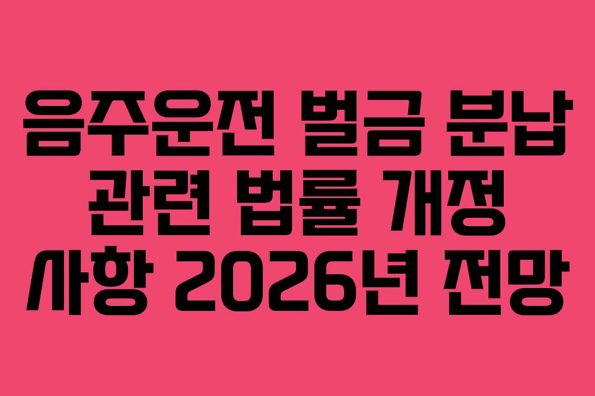 음주운전 벌금 분납 관련 법률 개정 사항 2026년 전망