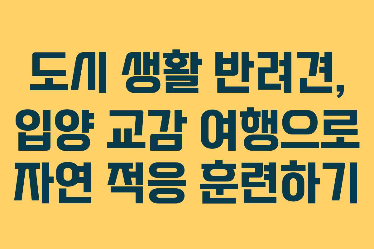 도시 생활 반려견, 입양 교감 여행으로 자연 적응 훈련하기 도시 생활 반려견, 입양 교감 여행으로 자연 적응 훈련하기
