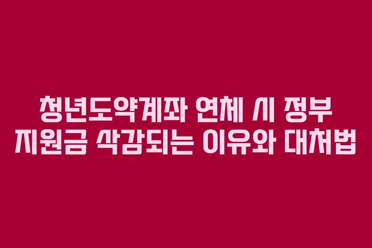 청년도약계좌 연체 시 정부 지원금 삭감되는 이유와 대처법 청년도약계좌 연체 시 정부 지원금 삭감되는 이유와 대처법