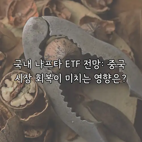 국내 나프타 ETF 전망: 중국 시장 회복이 미치는 영향은?