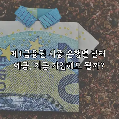 제1금융권 시중 은행별 달러 예금, 지금 가입해도 될까?