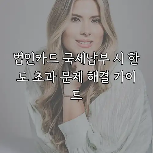 법인카드 국세납부 시 한도 초과 문제 해결 가이드