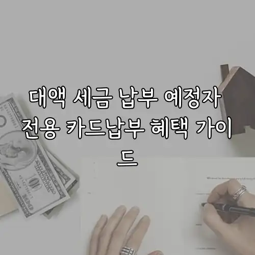 대액 세금 납부 예정자 전용 카드납부 혜택 가이드