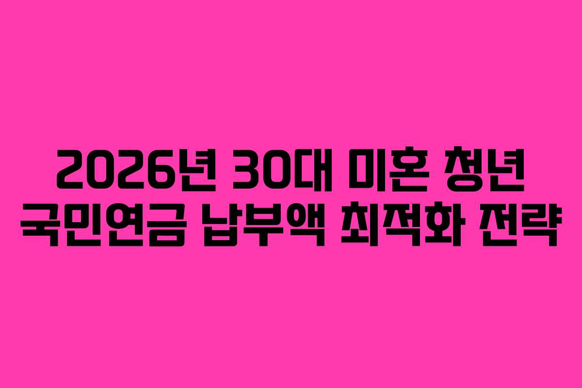 2026년 30대 미혼 청년 국민연금 납부액 최적화 전략 2026년 30대 미혼 청년 국민연금 납부액 최적화 전략