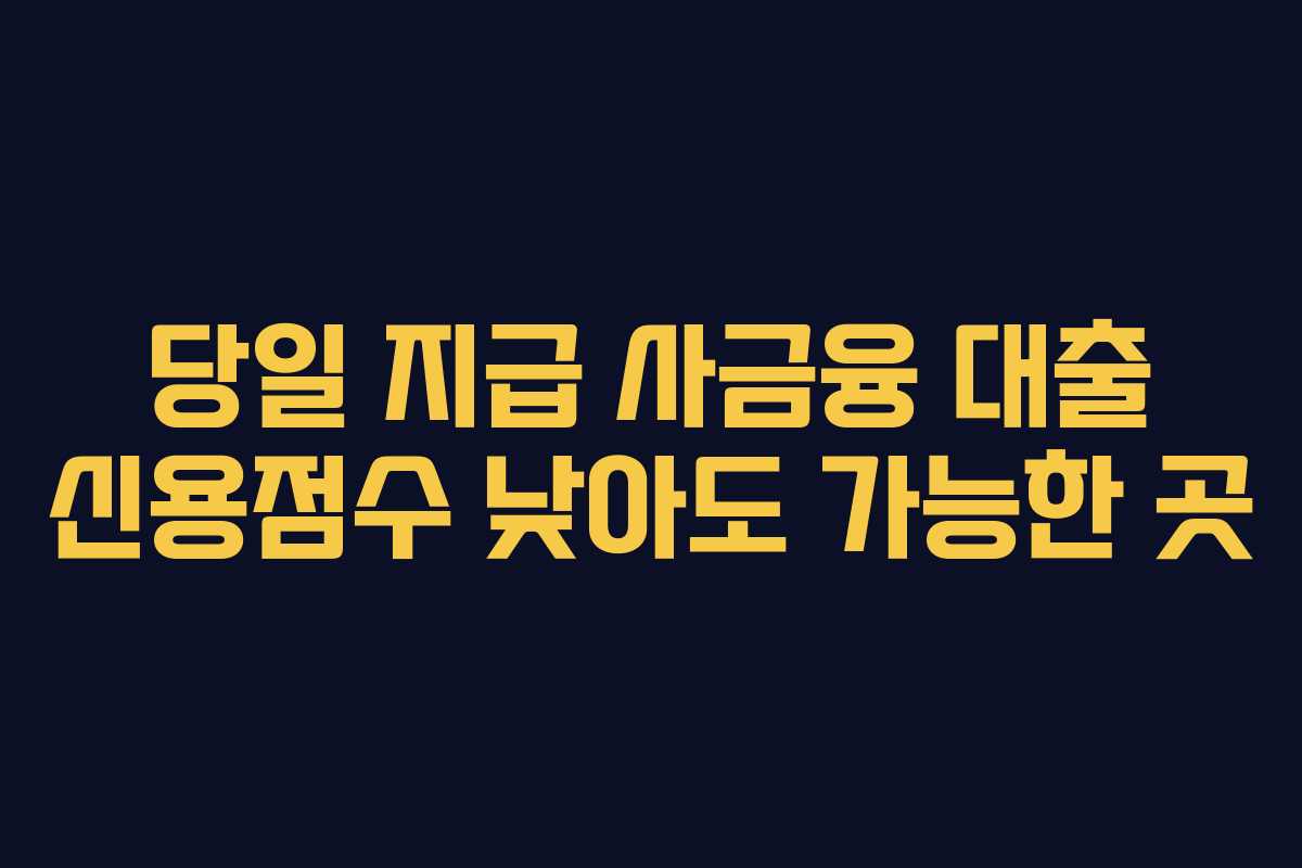 당일 지급 사금융 대출 신용점수 낮아도 가능한 곳