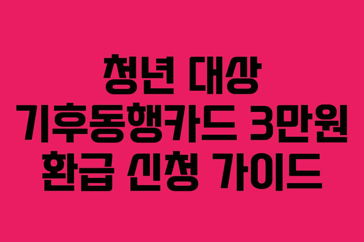 청년 대상 기후동행카드 3만원 환급 신청 가이드 청년 대상 기후동행카드 3만원 환급 신청 가이드