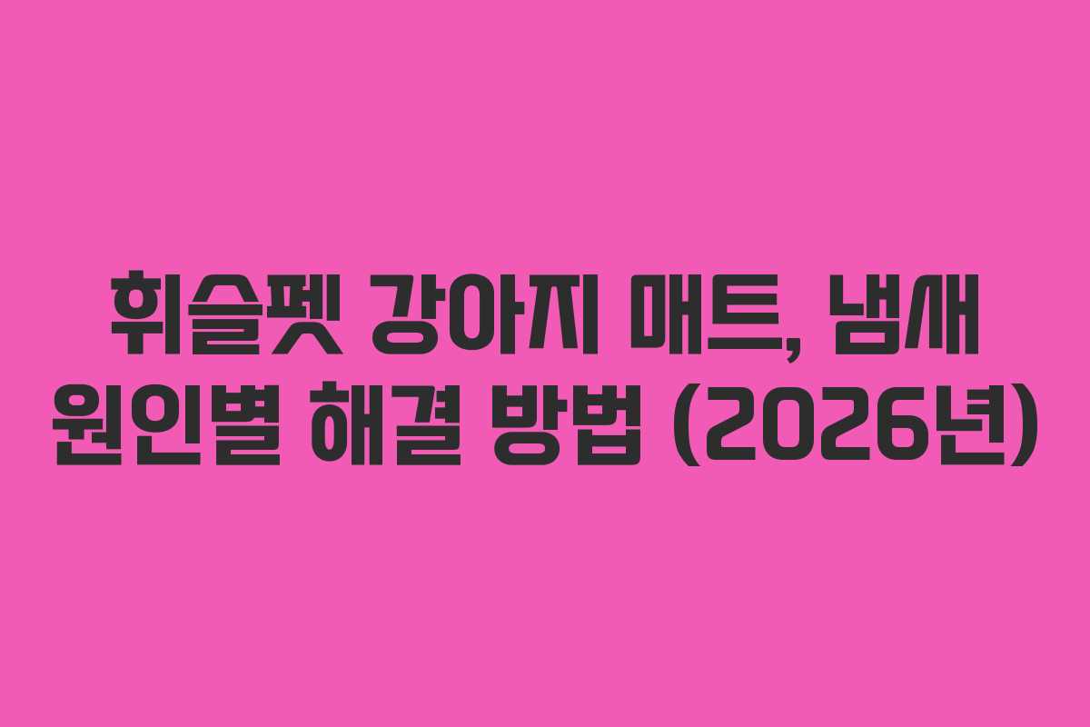 휘슬펫 강아지 매트, 냄새 원인별 해결 방법 (2026년)