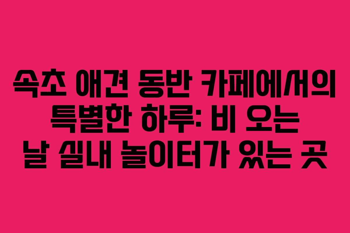 속초 애견 동반 카페에서의 특별한 하루: 비 오는 날 실내 놀이터가 있는 곳 속초 애견 동반 카페에서의 특별한 하루: 비 오는 날 실내 놀이터가 있는 곳