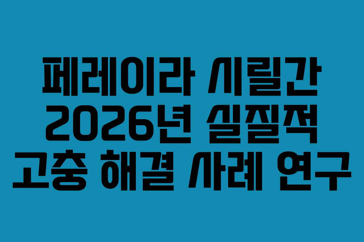 페레이라 시릴간 2026년 실질적 고충 해결 사례 연구